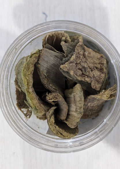Jaitun Chilka - Olive Peel ( 100 Gram )